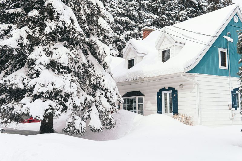 Snow-covered house with spruce trees.